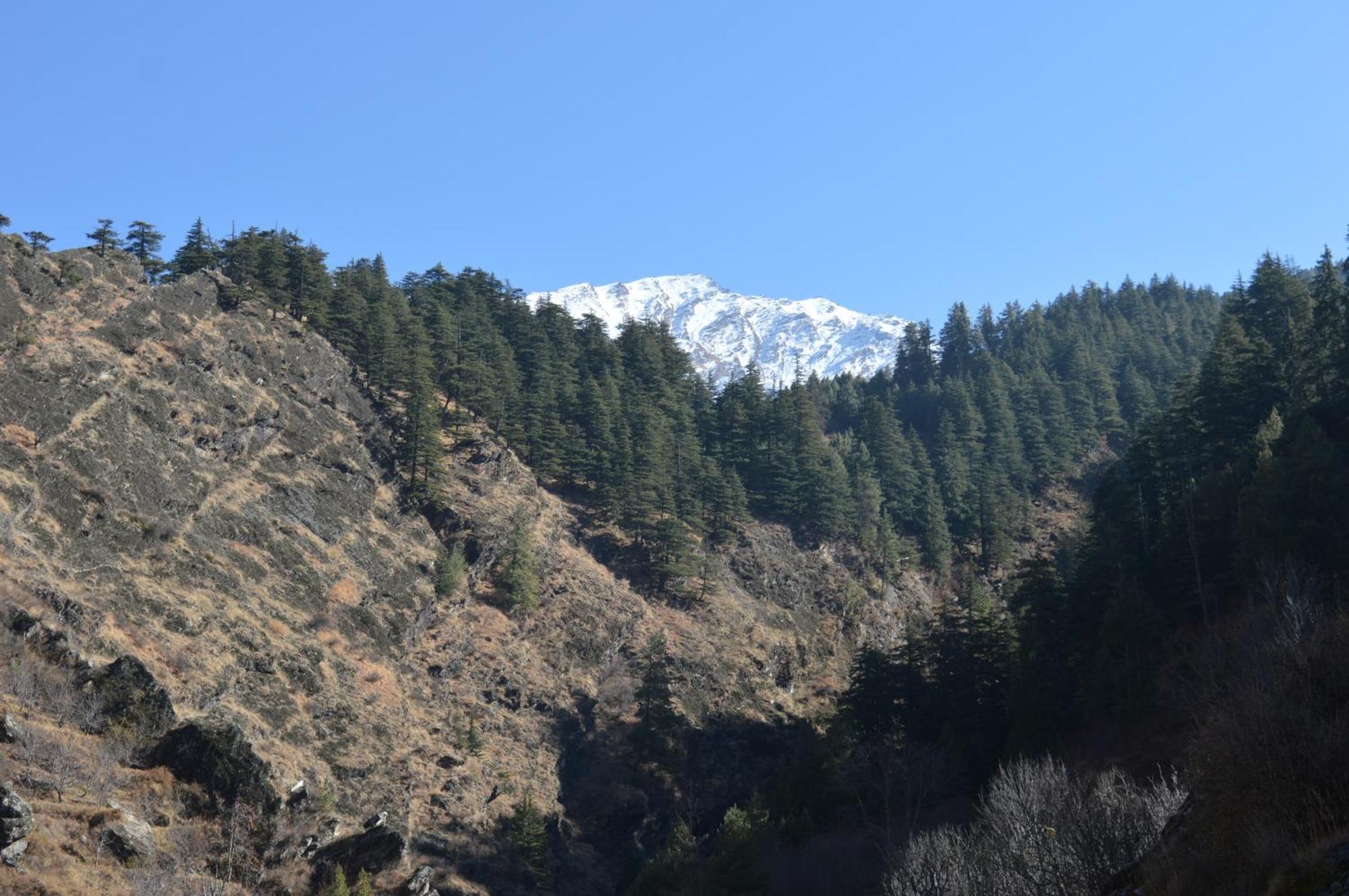 Laxmi Narayan Homestay-Harshil Harsil エクステリア 写真
